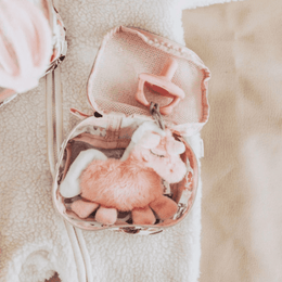 Itzy Ritzy Sweetie Pal Pacifier & Stuffed Anima
