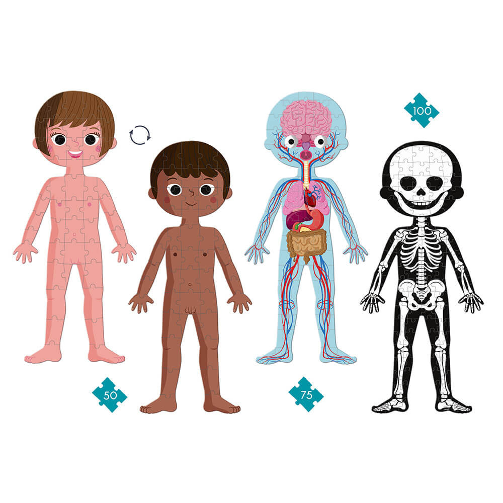 Janod Educational Human Body Puzzle set with four child figures displaying anatomy and skeleton