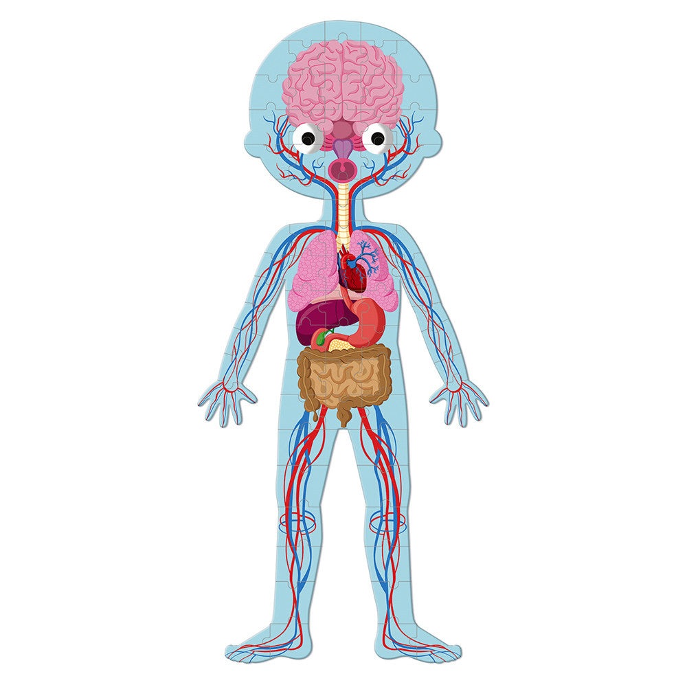 Janod educational human body puzzle for kids, colorful cartoon anatomy with brain and organs