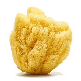 Loot Toy Co Sandy the Sea Sponge