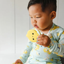 Loulou Lollipop Pacifier Clip & Teether Set