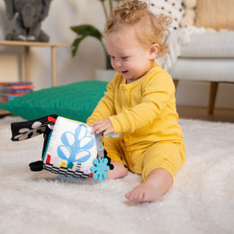 Manhattan Toy Wimmer Discovery Cube