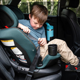 Maxi Cosi Andi 360 Rotating All-in-One Convertible Car Seat