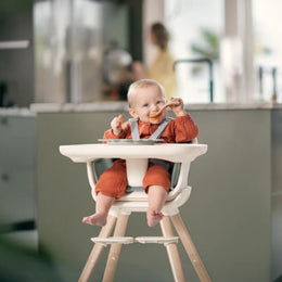 Maxi Cosi Moa 8-In-1 High Chair