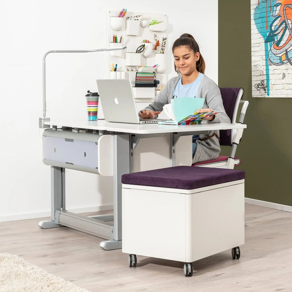 Moll Champion Compact Express Height Adjustable Desk, white finish with wall organizer; student types on a laptop.