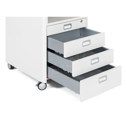 Moll Champion Cubicmax