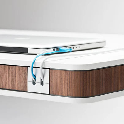 MOLL T7 XL desk, white with walnut veneer, cable management feature