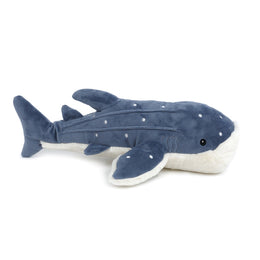 Mon Ami Under the Sea Echo The Whale