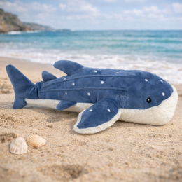 Mon Ami Under the Sea Echo The Whale