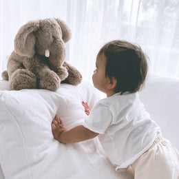 Mon Ami Safari Oliver Cuddle Elephant Plush Toy