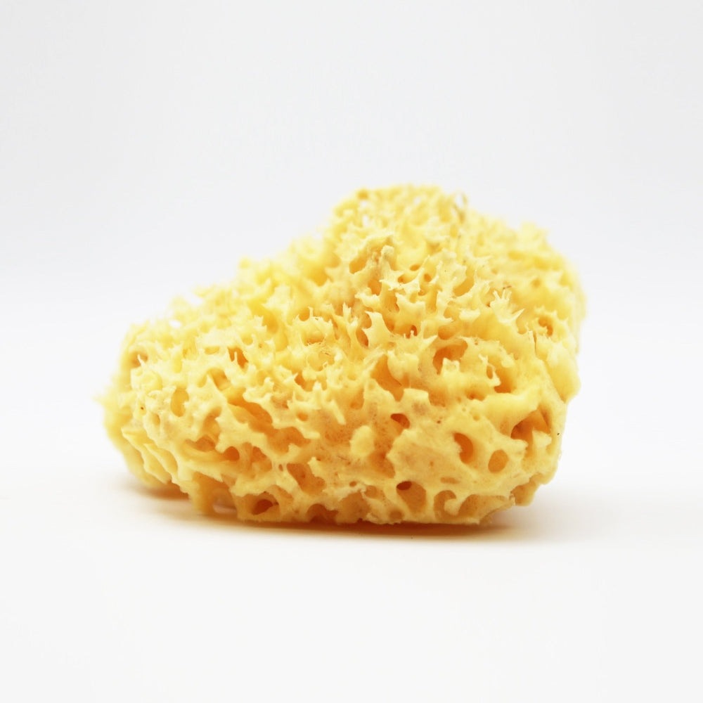 Nemibaby premium natural honeycomb bath sea sponge, yellow sponge by Kereso