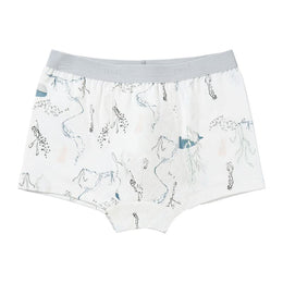 Nest Designs Bamboo Boys Boxer Briefs Underwear (2 Pack) Deep Blue Wonders