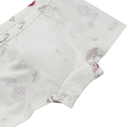 Nest Designs Bamboo Boys Boxer Briefs Underwear (2 Pack) Meadow Mystery