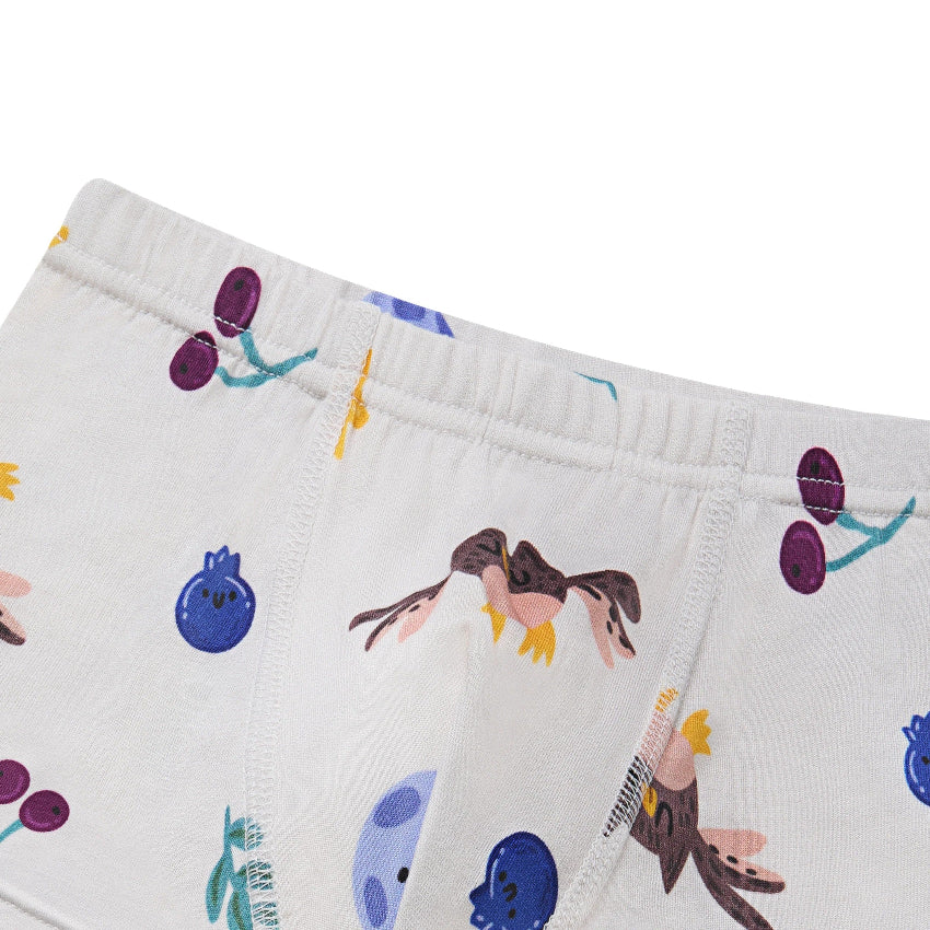 Nest Designs bamboo jersey boys boxer briefs 2-pack with colorful bird and fruit prints on white