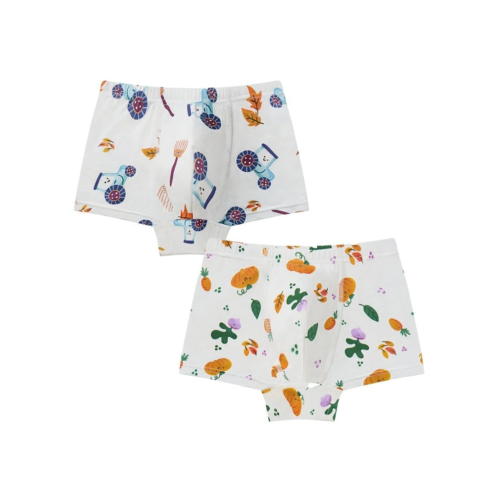 Nest Designs bamboo jersey boys boxer briefs 2-pack with harvest time print on white