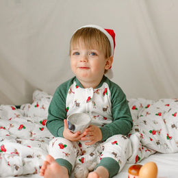 Nest Designs Bamboo Jersey Long Sleeve Footed Sleep Bag 2.5 Tog Sleigh All Day