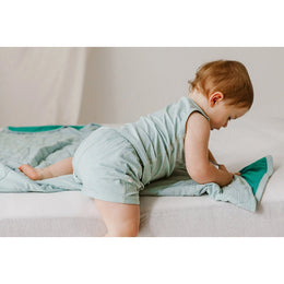Nest Designs Bamboo Jersey Shorts Pantone Harbor Grey