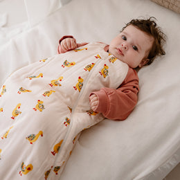 Nest Designs Bamboo Raglan Long Sleeve Sleep Bag 2.5 TOG Five Little Ducks