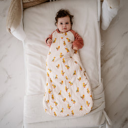 Nest Designs Bamboo Raglan Long Sleeve Sleep Bag 2.5 TOG Five Little Ducks