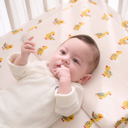 NEST DESIGNS Nook Toddler Pillow with Pillowcase