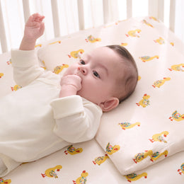 NEST DESIGNS Nook Toddler Pillow with Pillowcase