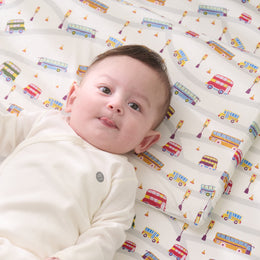NEST DESIGNS Nook Toddler Pillow with Pillowcase