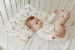 Nest Designs Nook Toddler Pillow with Pillowcase