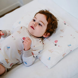 Nest Designs Nook Toddler Pillow with Pillowcase