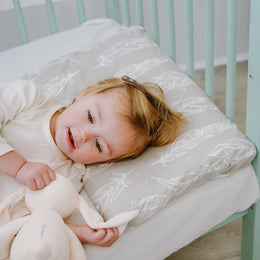 Nest Designs Nook Toddler Pillow with Pillowcase