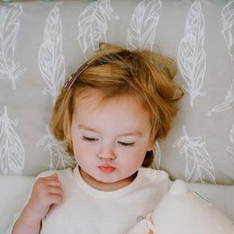 Nest Designs Nook Toddler Pillow with Pillowcase