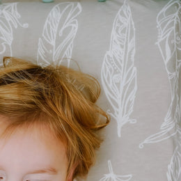 Nest Designs Nook Toddler Pillow with Pillowcase