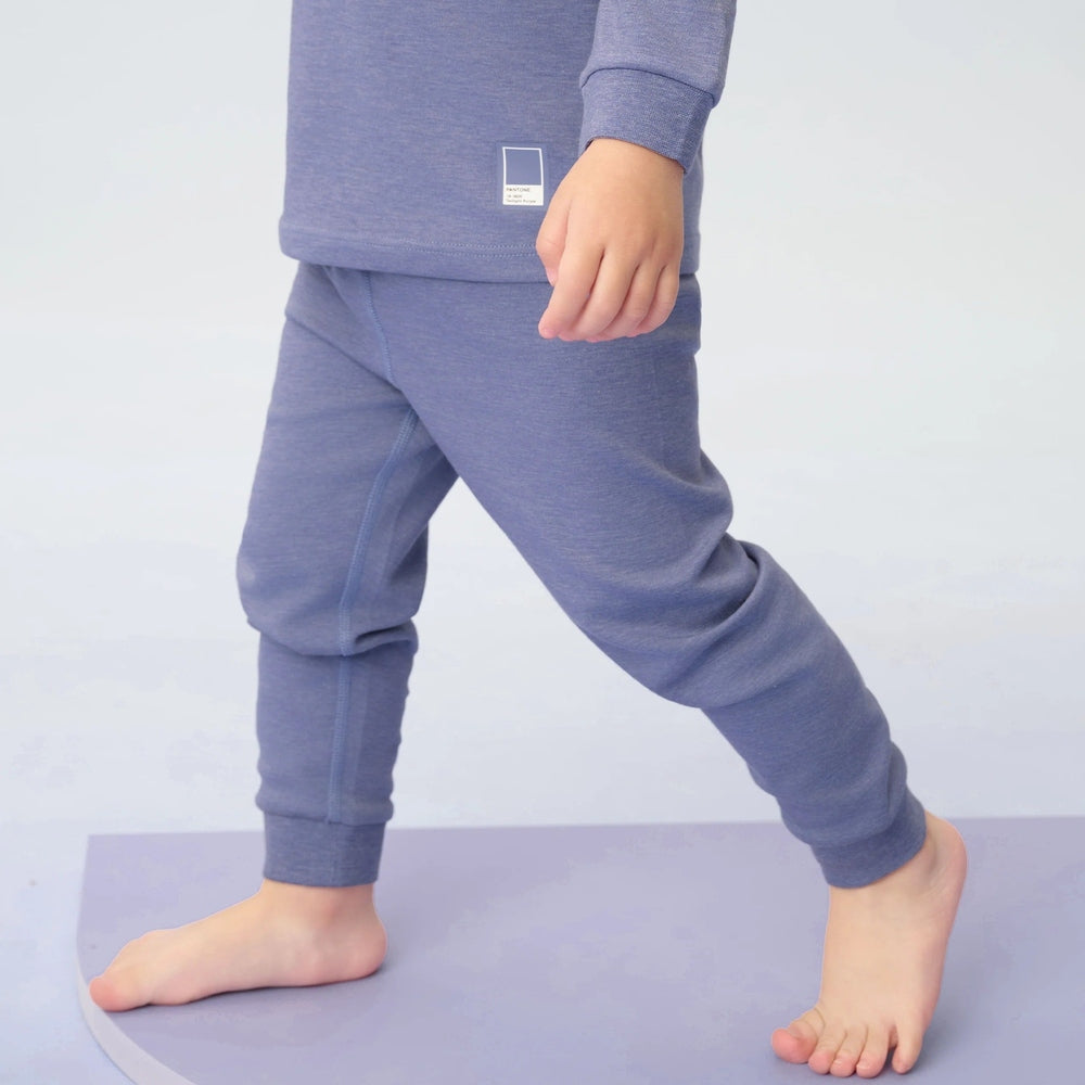 Nest Designs Twilight Purple two-piece toddler pajama set with long-sleeve top and jogger pants