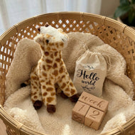 Newborn Plush Toy & Wooden Milestone Blocks Set