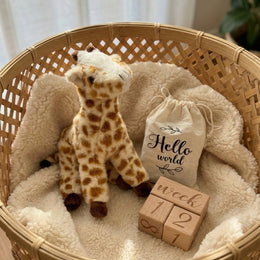 Newborn Plush Toy & Wooden Milestone Blocks Set