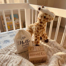 Newborn Plush Toy & Wooden Milestone Blocks Set