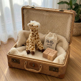 Newborn Plush Toy & Wooden Milestone Blocks Set