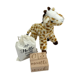 Newborn Plush Toy & Wooden Milestone Blocks Set