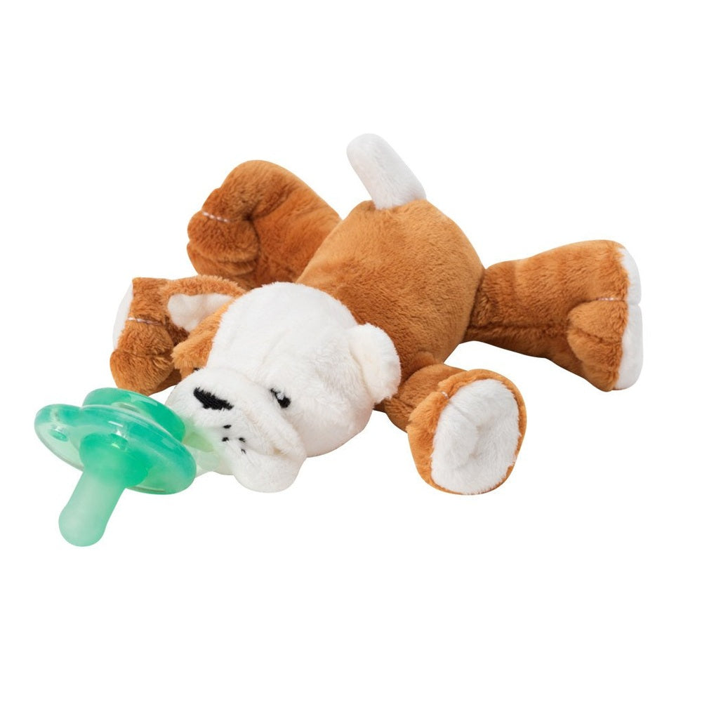 NOOKUMS Paci-Plushies Barkley Bulldog Shakies plush with a green silicone pacifier in its mouth