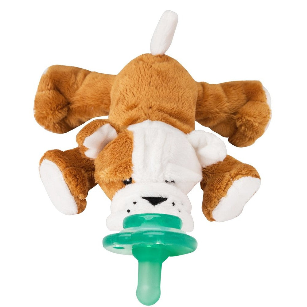 Nookums Paci-Plushies Barkley Bulldog Shakies plush with a green silicone pacifier attachment secured in its mouth.
