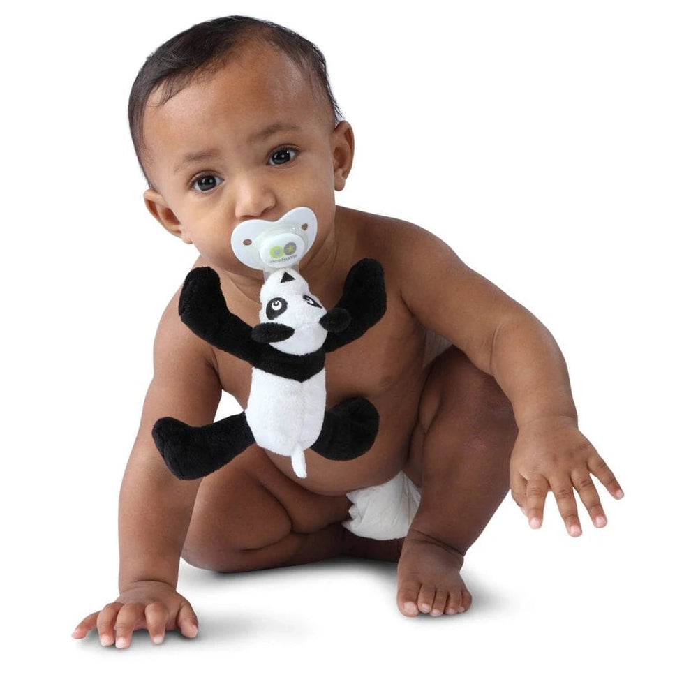 Nookums Paci-Plushies Buddies Paisley Panda pacifier with black-white panda plush for babies