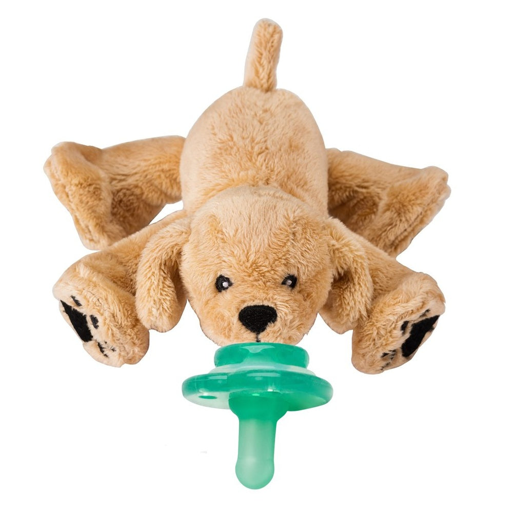Nookums Paci-Plushies Rufus Puppy Buddies plush dog with attached green pacifier.