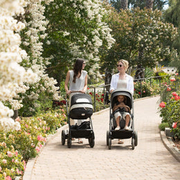 Nuna MIXX next Stroller
