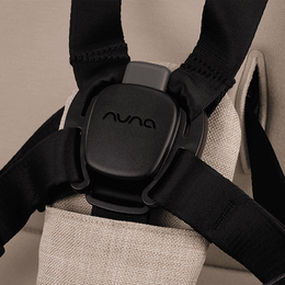 Nuna TRIV next Stroller