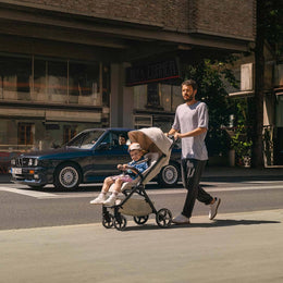 Nuna TRVL lx Stroller
