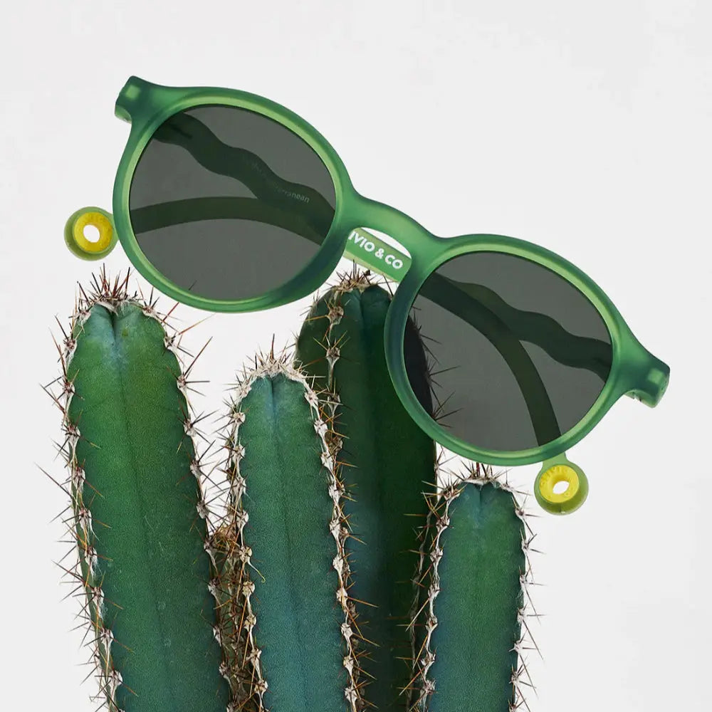 Olivio & Co Oval Sunglasses Kids/Junior Classic Olivio Olive Green, dark lenses, perched on a cactus.