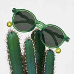Olivio & Co Oval Sunglasses Classic Olivio Olive Green