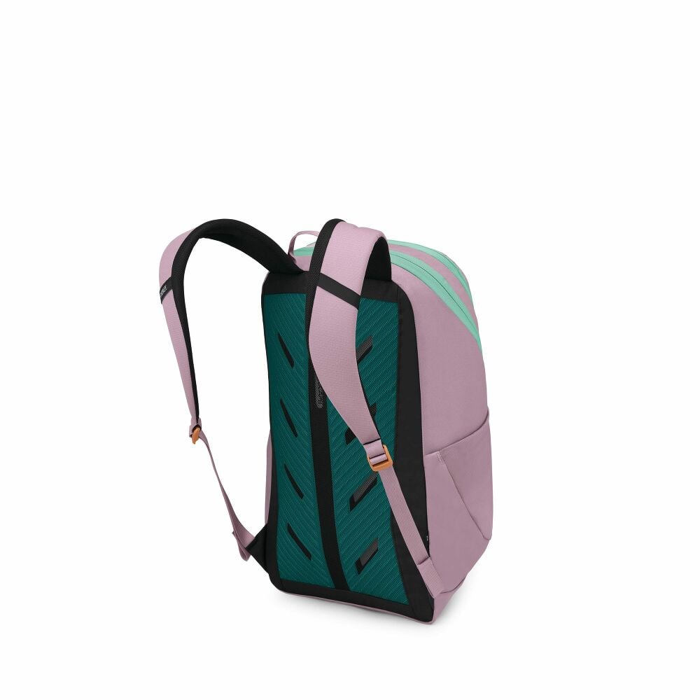 Osprey Astronova Campus Backpack - Iris Pink back view