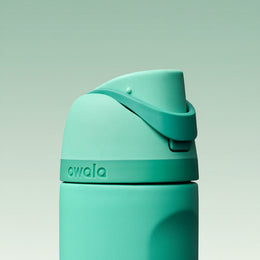 Owala FreeSip 24 oz Stainless Steel Water Bottle