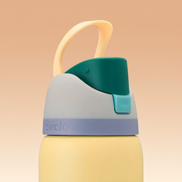 Owala FreeSip 32 oz Stainless Steel Water Bottle