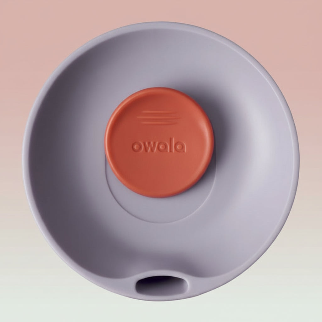 Gray container with a red lid featuring the 'owala' brand on a white background